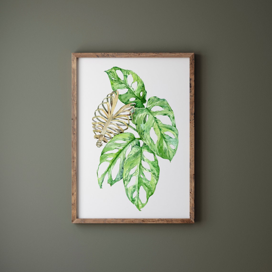 Monstera Adansonii Swiss Cheese Leaves Watercolor Plant Poster