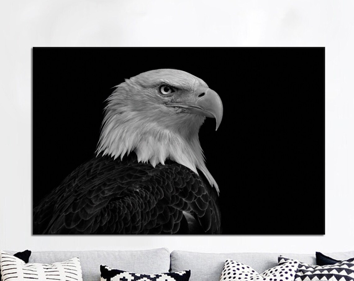 Bald Eagle Black and White Portrait on Dark Background Wildlife Wall Art