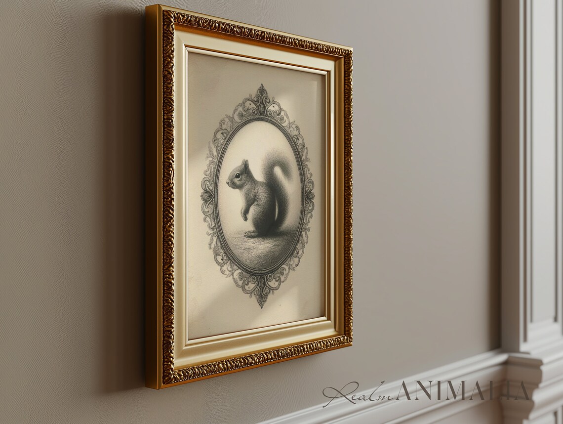 Vintage Squirrel Sketch In Ornate Oval Frame Monochrome Art Poster - Image 3