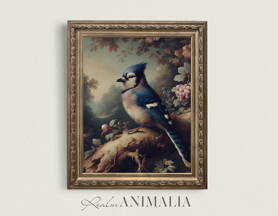 Vintage Blue Jay Perched On Rock Among Berries Moody Songbird Art Poster