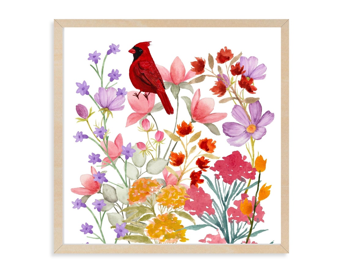 Red Cardinal Bird Illustration Painting Art