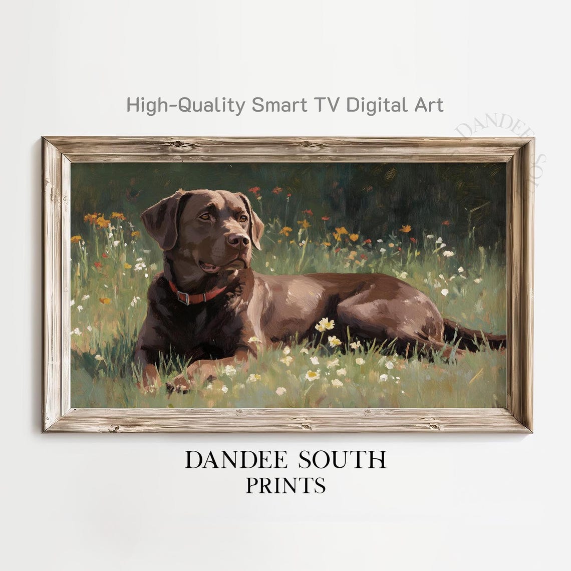 Chocolate Labrador Retriever Red Collar Wildflower Field Print