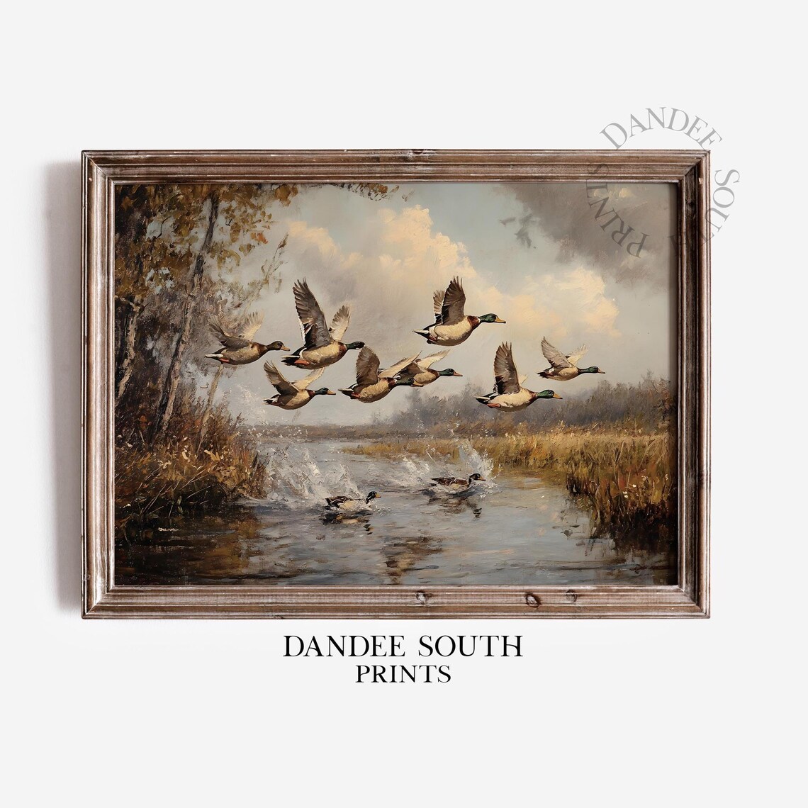 Mallard Ducks Modern Farmhouse Art Print
