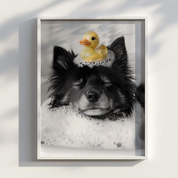 Lathered Lapphund Finnish Poster Bath Art Funny Dog Bathroom Print Cute Pet Wall