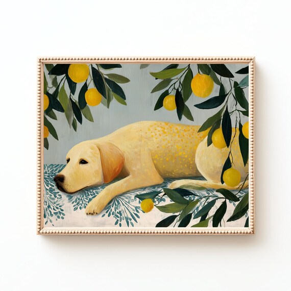 Yellow Lab Resting Beneath a Lemon Tree Mediterranean Poster