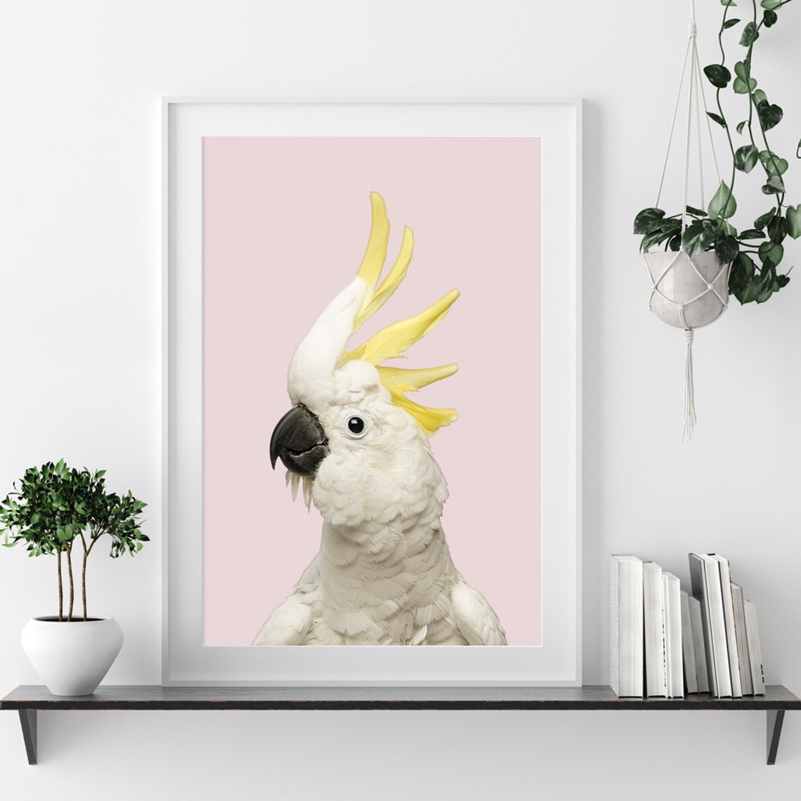 Sulphur Crested Cockatoo Portrait On Soft Pink Background Bird Poster - Image 3