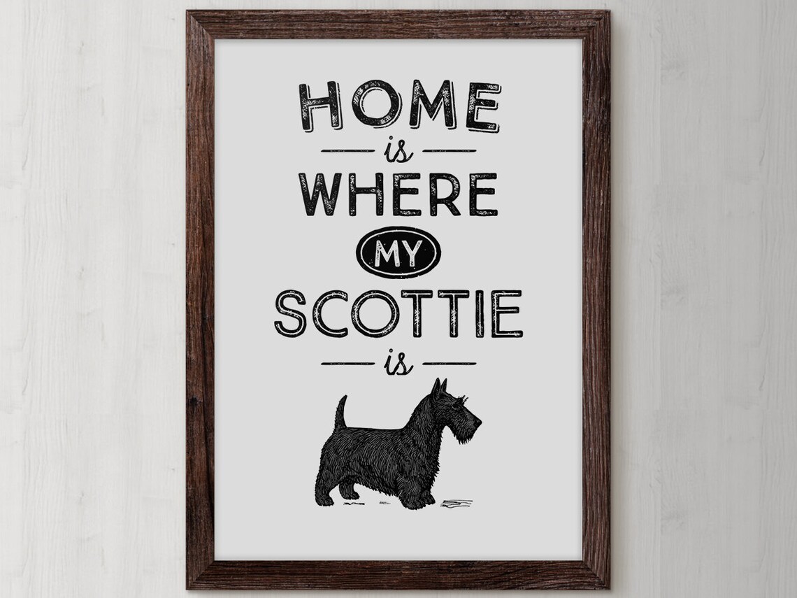 Home Is Where My Scottie Is Scottish Terrier Dog Lover Quote Poster