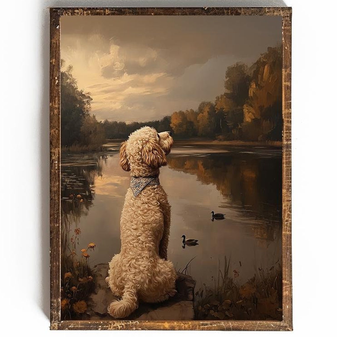 Curly Goldendoodle Watching Ducks At Golden Sunset Pond Art Poster