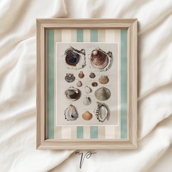 Vintage Seashell Scientific Chart Scallop Conch Coastal Poster