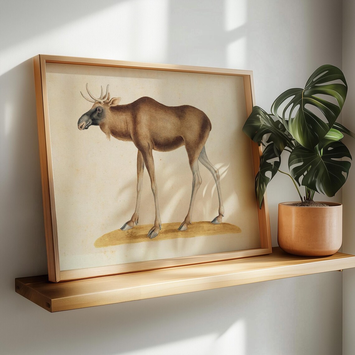 Vintage Elk Natural History Illustration Antique Animal Art Poster - Image 2