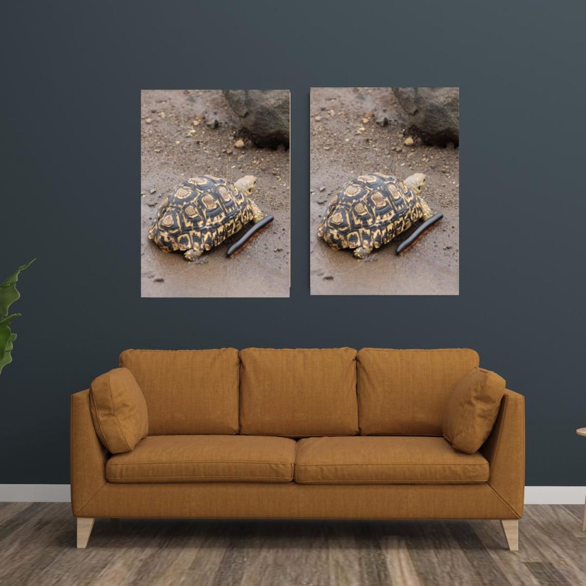 Tortoise Art, Africa's Game Reserves - Image 3