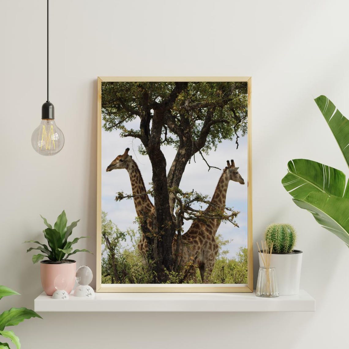 Giraffe Art, Africa's Game Reserves - Image 4