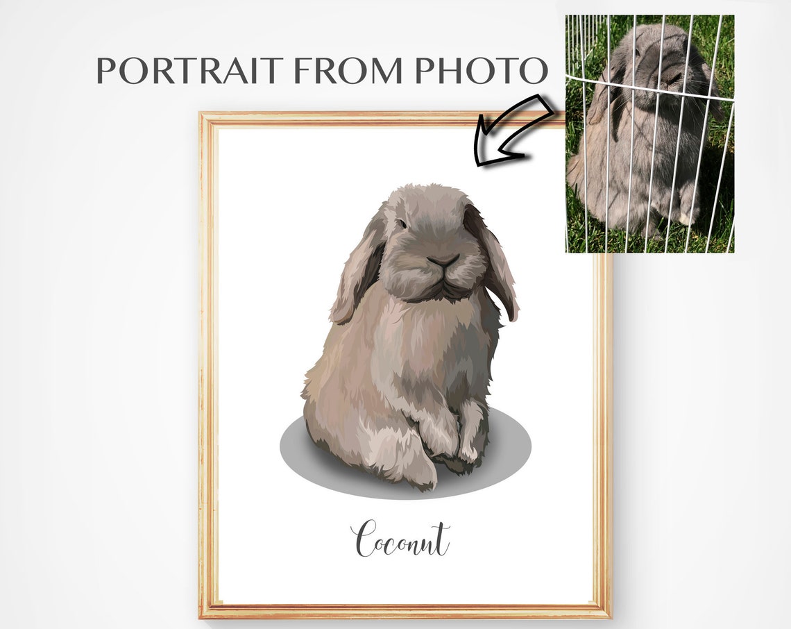 Coconut the Lop-Eared Rabbit Portrait From Photo Custom Pet Poster