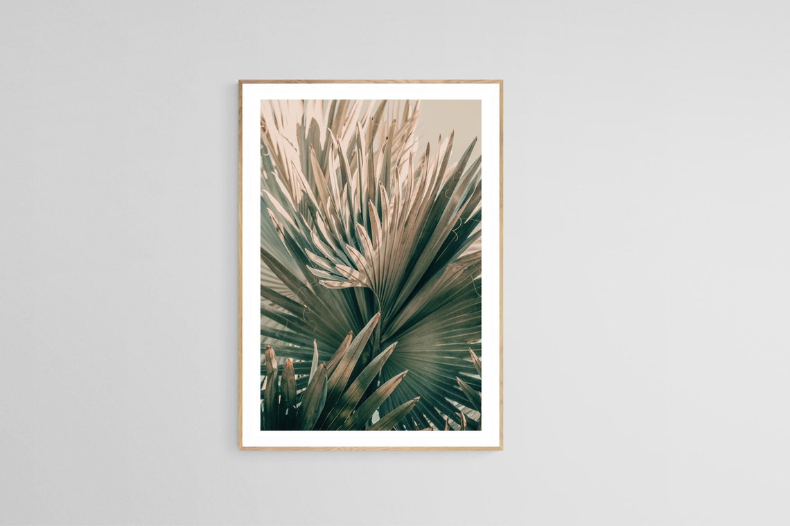 Palm Tree Photograph, Tropical Nature Art