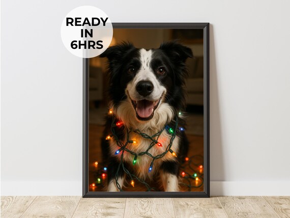 Border Collie Tangled in Christmas Lights Holiday Dog Poster