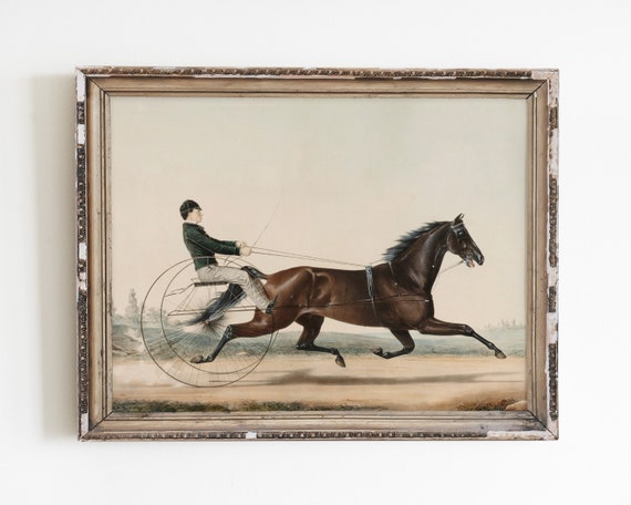 Antique Horse Lithograph, Vintage Equestrian Art Print