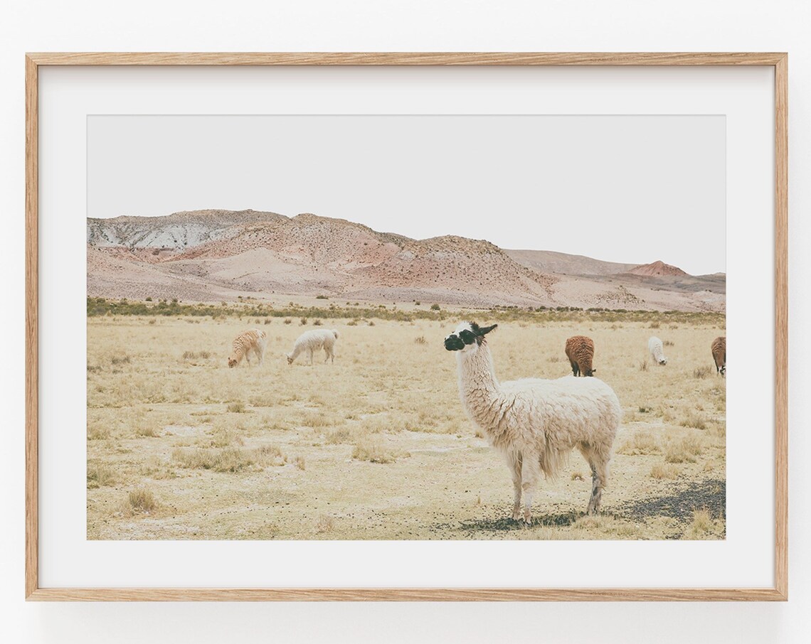 Lama Mountain Living Room Wall Art Print