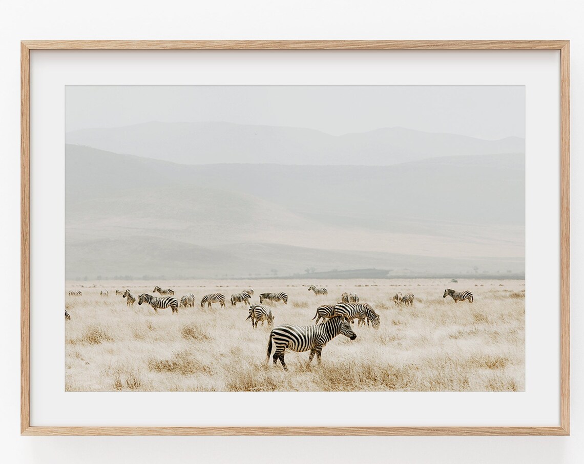 Zebra Landscape Art Print, Mountain Nature Study