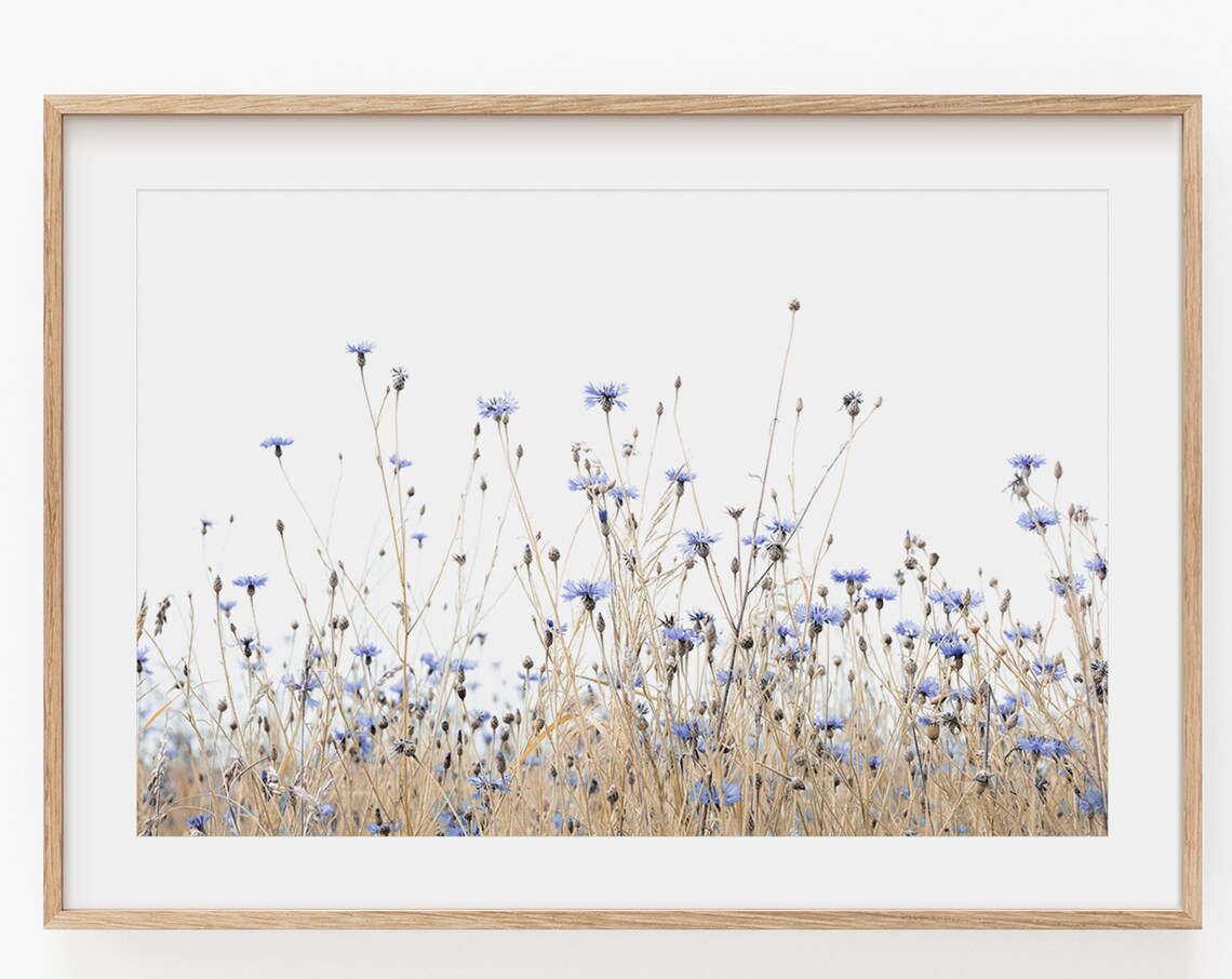 Wild Grass Botanical Art Print, Minimalist Poster - Image 3