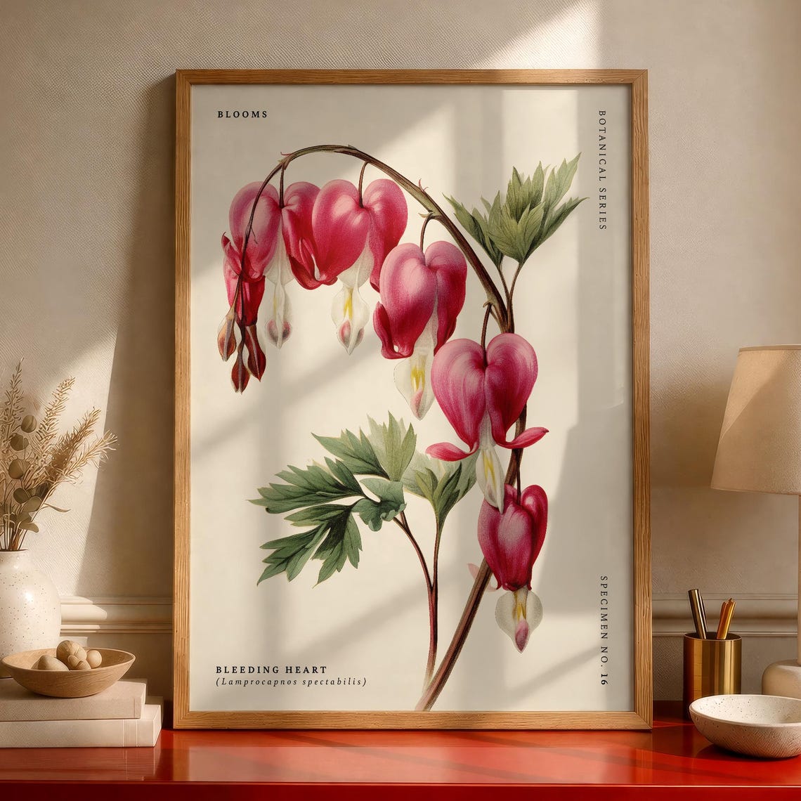 Bleeding Heart Botanical Vintage Flower Specimen Illustration Poster