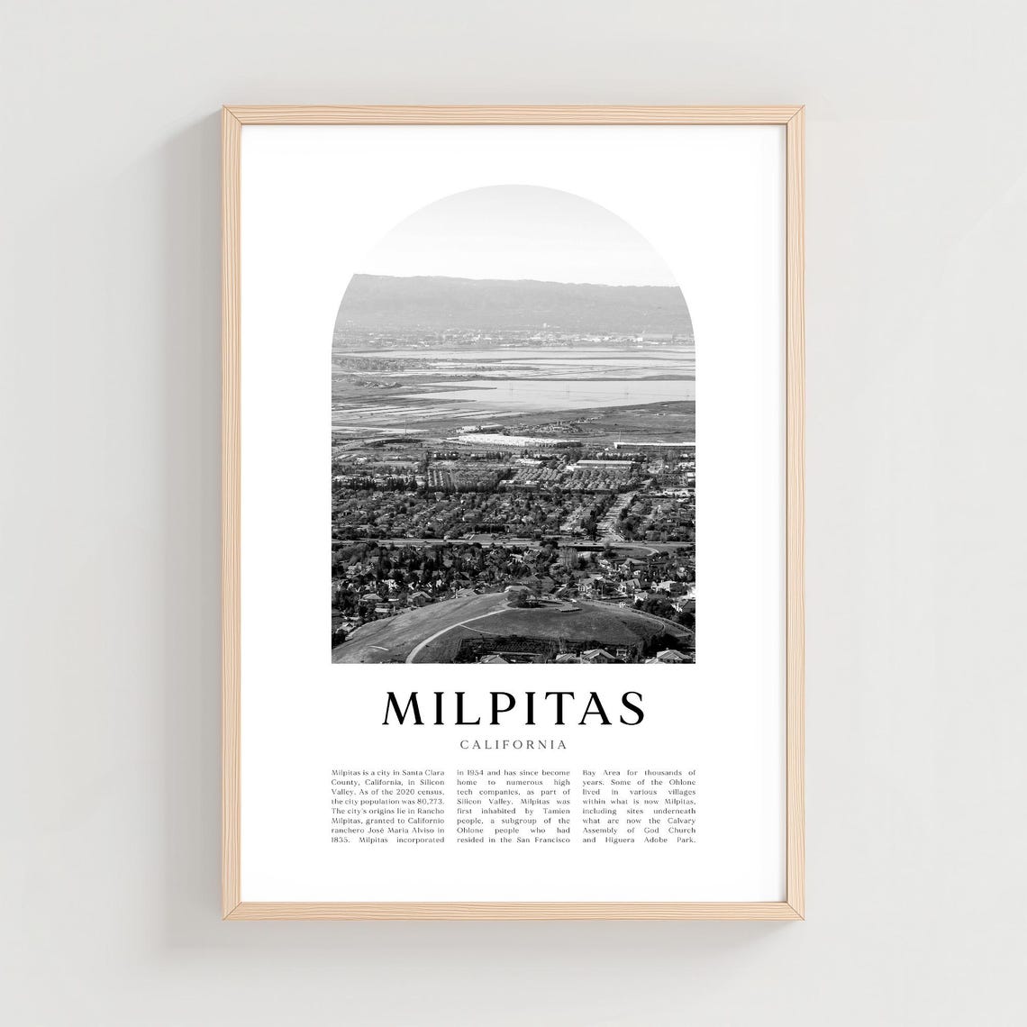 Milpitas California Aerial City and Wetlands Black and White Poster