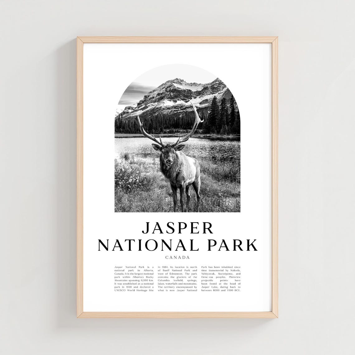 Jasper National Park Canada Elk Black and White Photography Poster
