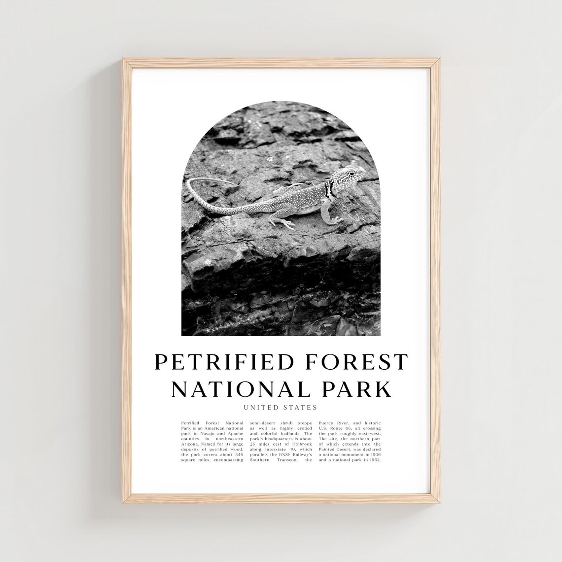Petrified Forest National Park Desert Lizard Photo Travel Poster