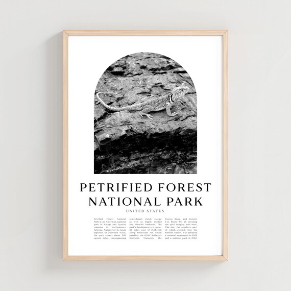 Petrified Forest National Park Desert Lizard Photo Travel Poster