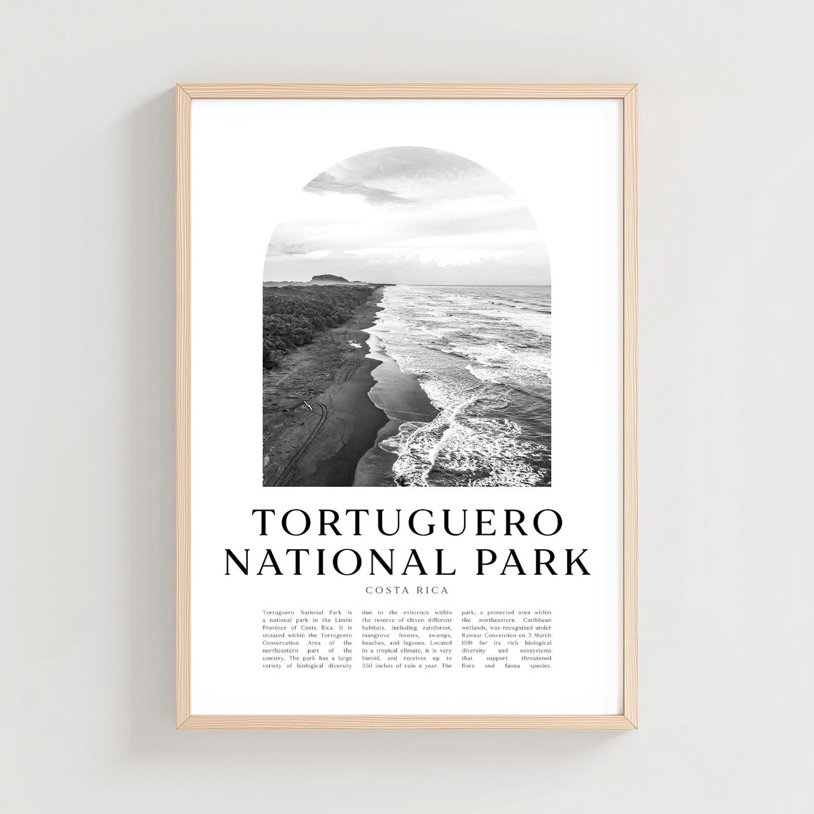 Tortuguero National Park Costa Rica Beach Coastline Monochrome Print