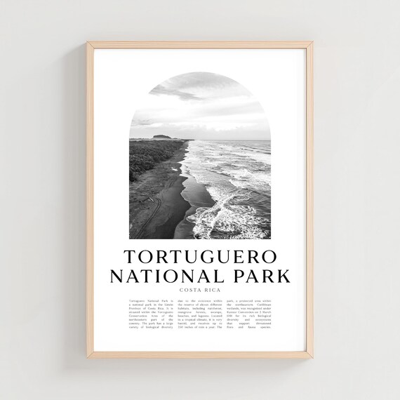 Tortuguero National Park Costa Rica Beach Coastline Monochrome Print