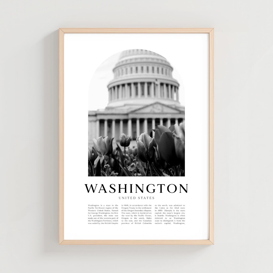 Washington United States Capitol Dome Tulips Black White Photo Poster