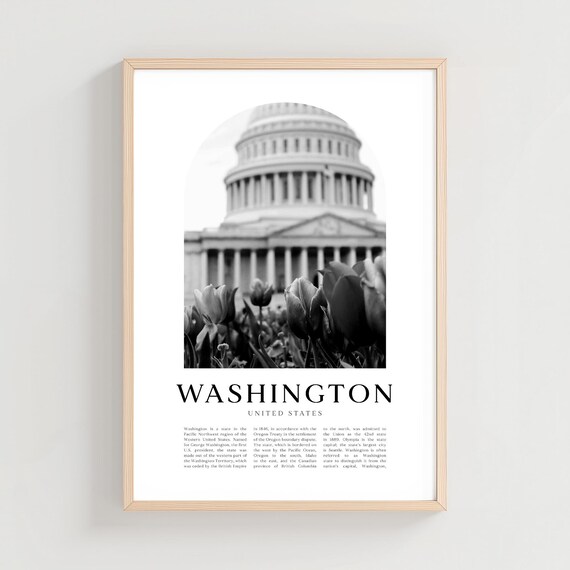 Washington United States Capitol Dome Tulips Black White Photo Poster