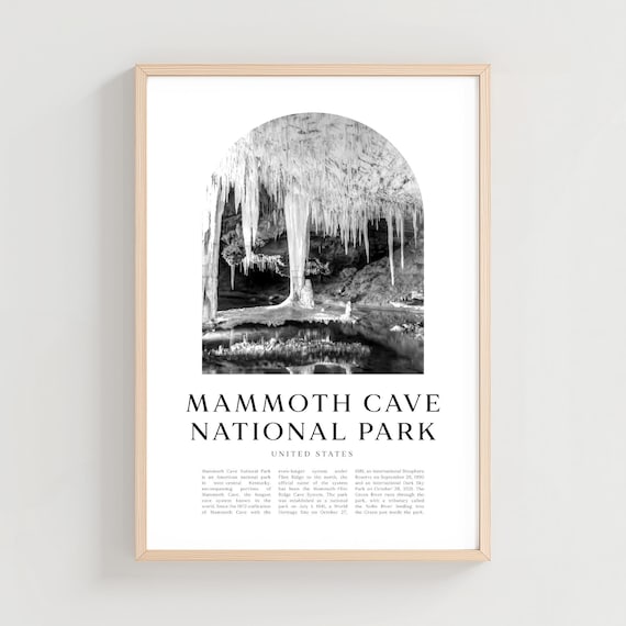 Mammoth Cave National Park Stalactites Cavern Black White Poster
