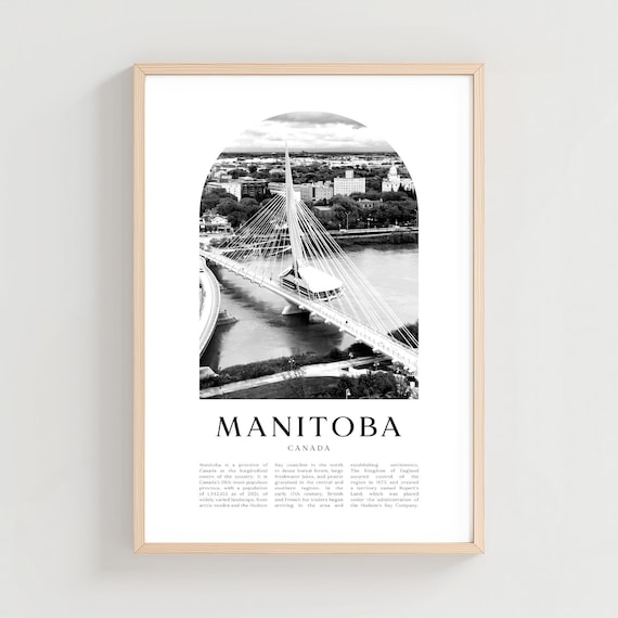 Manitoba Canada Cable Stayed Bridge Black White Arch Photo Poster