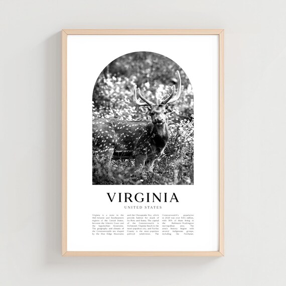 Virginia United States Spotted Deer Stag Black White Arch Photo Poster