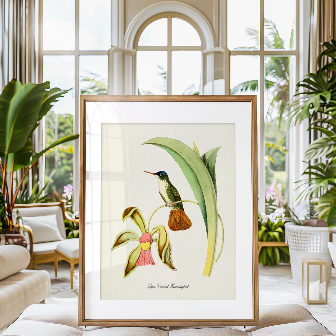 Azure Crowned Hummingbird Floral Art Print for Garden - Image 3