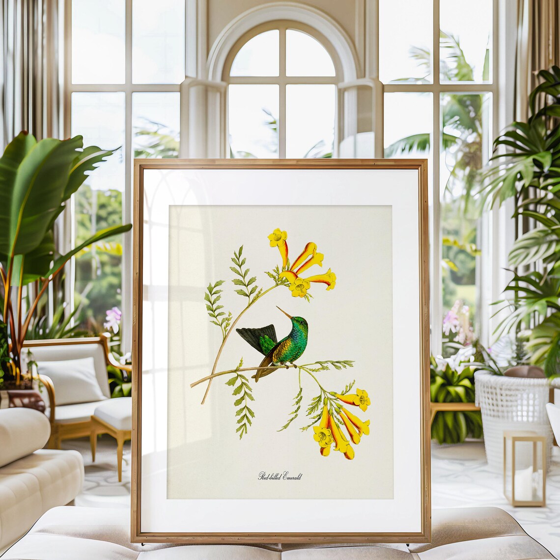 Red Billed Emerald Hummingbird, Floral Garden Art Print - Image 3