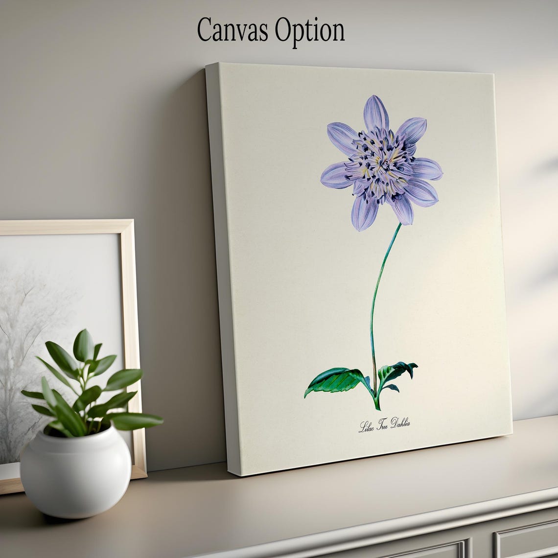 Lilac Tree Dahlia Vintage Botanical Flower Illustration Wall Poster - Image 2