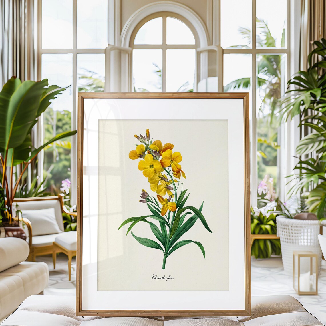 Charanthus Flavus, Redoute-Inspired Art Print - Image 3