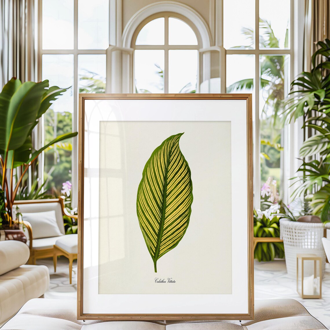 Calathea Vittata Botanical Art Print, Green Leaves - Image 3