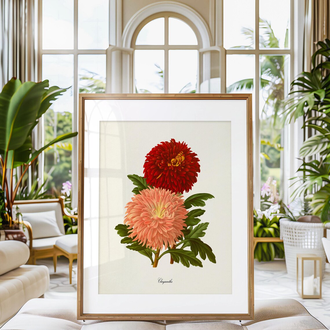 Chrysanthemum Botanical Art Print, Mum Flower Decor - Image 3