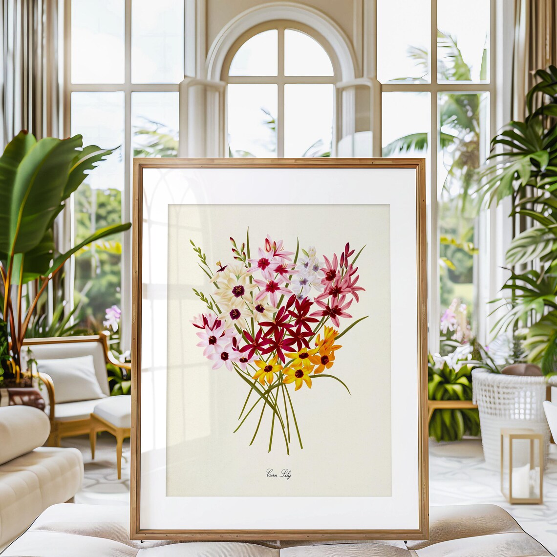 Corn Lily Botanical Flower Art Print, Floral Wall Art - Image 3