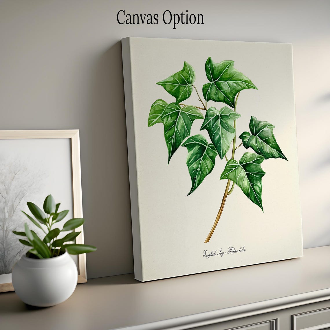 English Ivy Hedera Helix Botanical Vine Illustration Wall Poster - Image 2