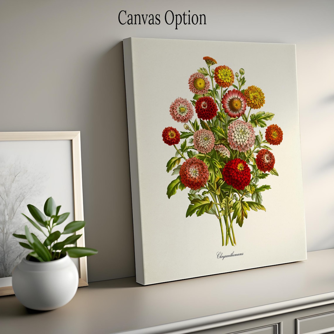 Chrysanthemum Flower Botanical Wall Art Print - Image 2