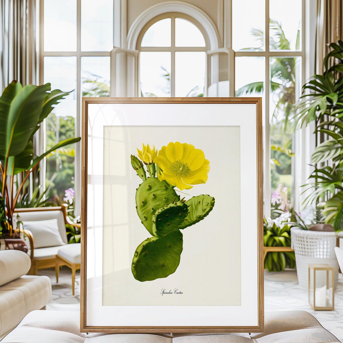 Spineless Cactus Botanical Art Print, Green Yellow - Image 3