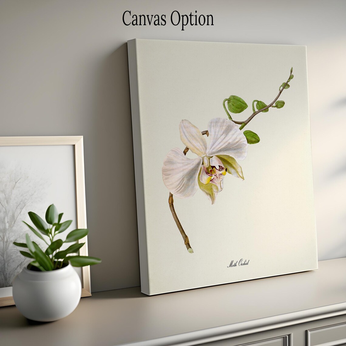 Moth Orchid Botanical Art Print, Floral Wall Art - Image 2