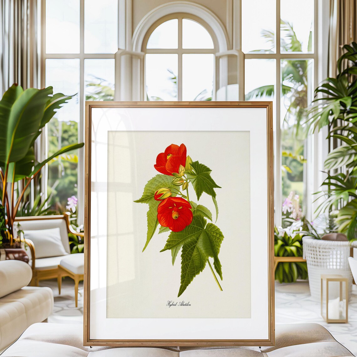 Hybrid Abutilon Flower Art Print, Botanical Wall Art - Image 3