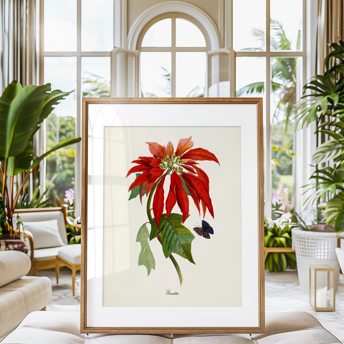 Poinsettia Flower Botanical Art Print, Christmas - Image 3