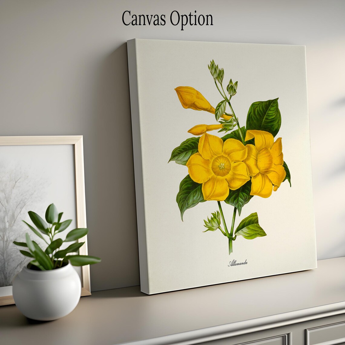 Allamanda Flower Botanical Art Print, Floral Vine - Image 2