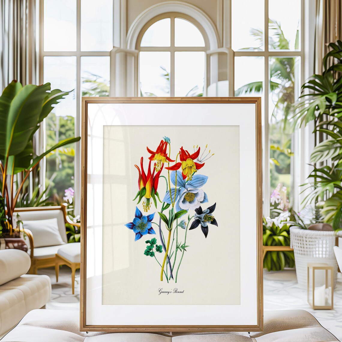 Granny's Bonnet Columbine Botanical Art Print - Image 3